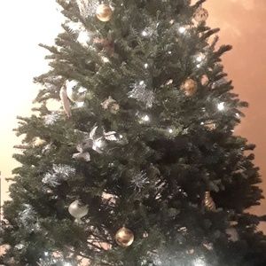 Meet your Posher, Daniela